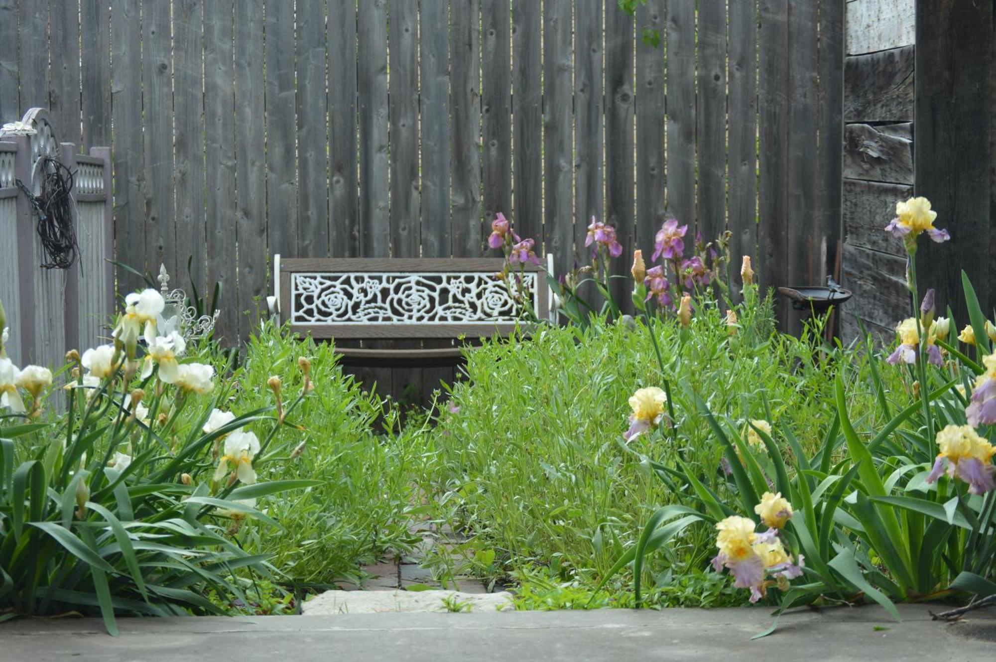 Carleton House Bed And Breakfast Bonham Extérieur photo