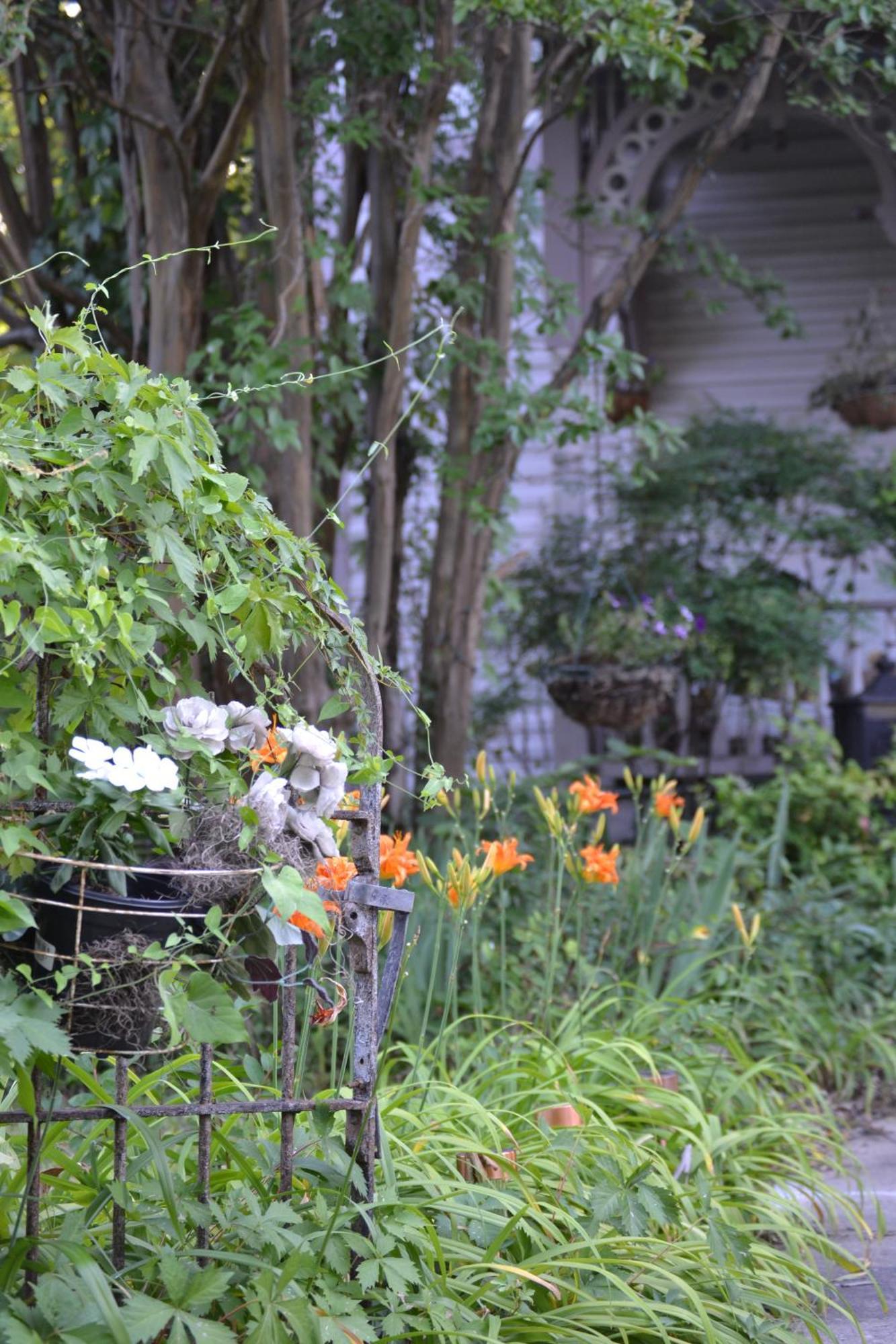 Carleton House Bed And Breakfast Bonham Extérieur photo